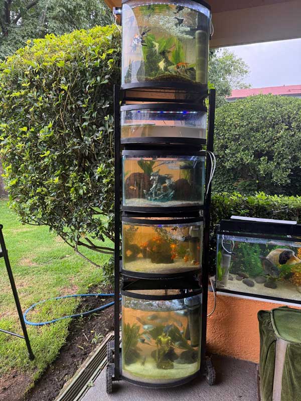 imagen de whatsapp 2025 09 23 a las 07.52.36 e322832b