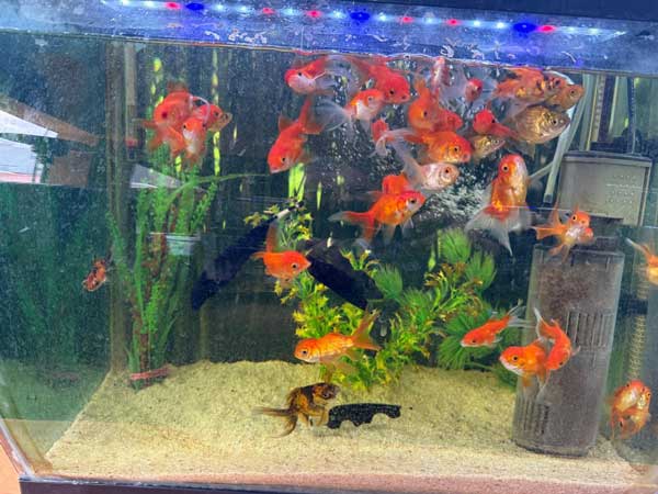 imagen de whatsapp 2025 09 23 a las 08.36.02 3ce86bb9