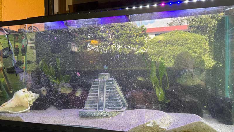 imagen de whatsapp 2025 09 23 a las 08.36.39 42d3bb5e