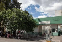 secretaría de salud lidera trasplantes de hígado en méxico