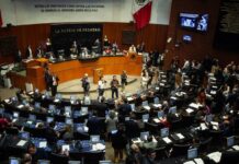 senado y diputados seguirán con su agenda tras protesta de generación z