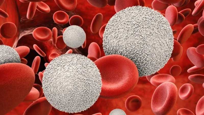 Día Mundial del Sida: La dolorosa realidad que enfrenta México