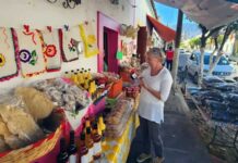 Nayarit, potencia gastronómica que se come de punta a punta Nayarit, potencia gastronómica que se come de punta a punta