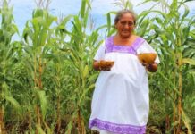 Cabañuelas, la tradición maya de revelar el clima Cabañuelas, la tradición maya de revelar el clima