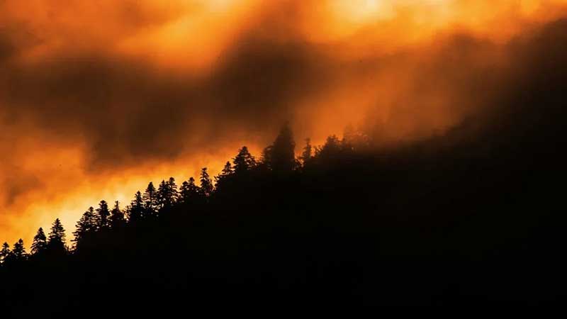 Incendios al sur de Chile dejan al menos 15 muertos y 50 mil evacuados